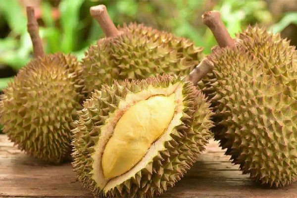 榴蓮不熟放幾天才能變熟 榴蓮不裂開代表沒熟嗎 榴蓮不熟放幾天才能變熟 榴蓮不裂開代表沒熟嗎
