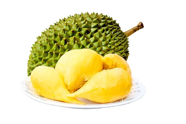 金枕榴蓮和普通榴蓮的區(qū)別 金枕榴蓮幾月份成熟上市 金枕榴蓮和普通榴蓮的區(qū)別 金枕榴蓮幾月份成熟上市