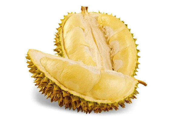 金枕榴蓮多少錢(qián)一斤 金枕榴蓮屬于什么等級(jí) 金枕榴蓮多少錢(qián)一斤 金枕榴蓮屬于什么等級(jí)