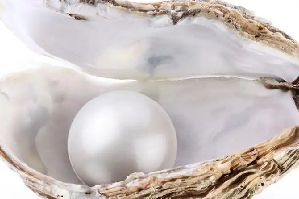珍珠是淡水珍珠好還是海水珍珠好 珍珠淡水和海水的區(qū)別 珍珠是淡水珍珠好還是海水珍珠好 珍珠淡水和海水的區(qū)別