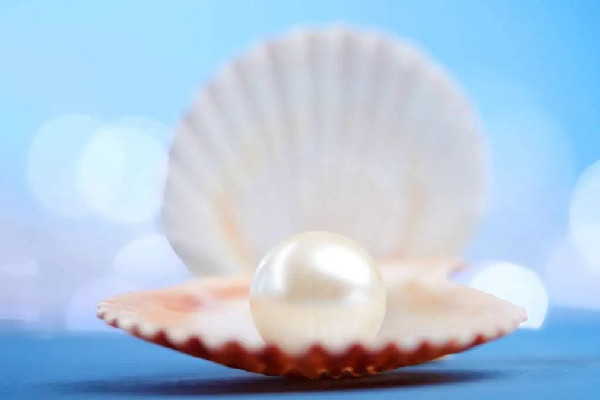 珍珠有核和無核的區(qū)別 珍珠有核好還是無核好 珍珠有核和無核的區(qū)別 珍珠有核好還是無核好