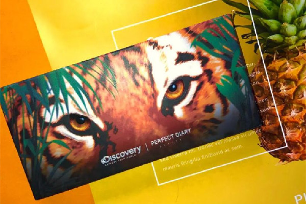 完美日記動物眼影盤會飛粉嗎 完美日記動物眼影盤和九色哪個好用 完美日記動物眼影盤會飛粉嗎 完美日記動物眼影盤和九色哪個好用