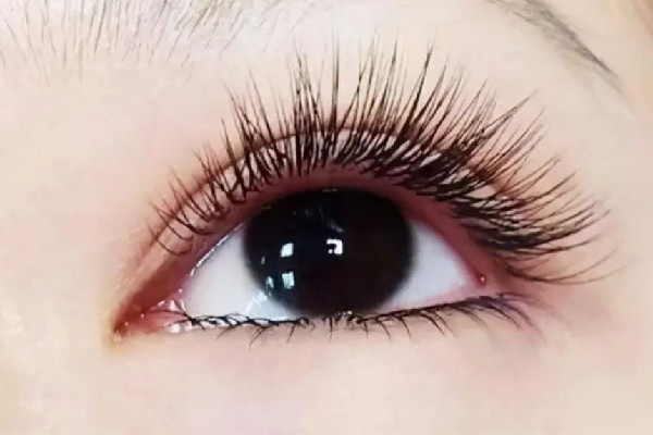 中南路YAMIER美學(xué)店可以補睫毛嗎 種睫毛掉了怎么補 中南路YAMIER美學(xué)店可以補睫毛嗎 種睫毛掉了怎么補