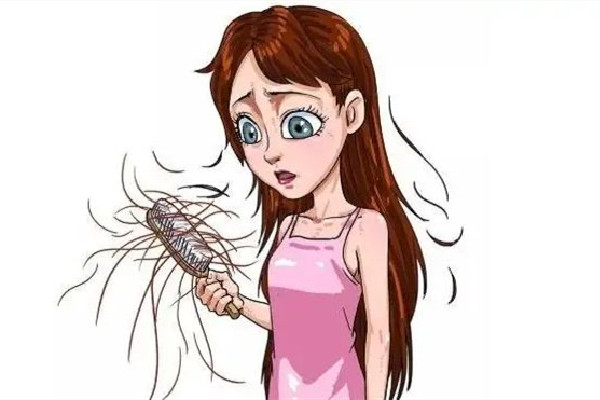 掉發(fā)有白色顆粒是什么 掉發(fā)有白色毛囊還會(huì)在長(zhǎng)嗎 掉發(fā)有白色顆粒是什么 掉發(fā)有白色毛囊還會(huì)在長(zhǎng)嗎