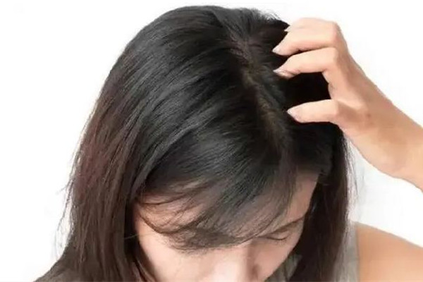 中南路蔤絲源Silk Origin新生養(yǎng)發(fā)美容中心頭發(fā)護理做的好嗎 頭發(fā)護理用什么 中南路蔤絲源Silk Origin新生養(yǎng)發(fā)美容中心頭發(fā)護理做的好嗎 頭發(fā)護理用什么