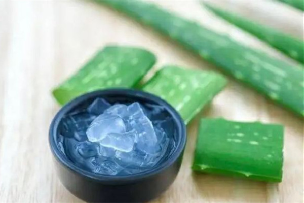 新鮮蘆薈擦臉會越來越黑嗎 新鮮蘆薈擦臉有什么副作用 新鮮蘆薈擦臉會越來越黑嗎 新鮮蘆薈擦臉有什么副作用