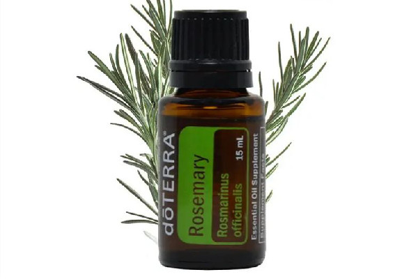 迷迭香精油真的能生發(fā)嗎 迷迭香精油可以直接涂抹頭發(fā)嗎 迷迭香精油真的能生發(fā)嗎 迷迭香精油可以直接涂抹頭發(fā)嗎