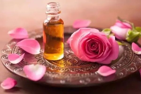玫瑰精油用什么玫瑰 玫瑰精油的提取方法 玫瑰精油用什么玫瑰 玫瑰精油的提取方法