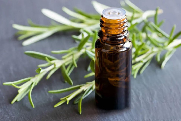迷迭香精油真的能生發(fā)嗎 迷迭香精油可以直接涂抹頭發(fā)嗎 迷迭香精油真的能生發(fā)嗎 迷迭香精油可以直接涂抹頭發(fā)嗎