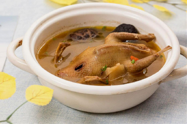 鴿子湯可以用高壓鍋燉嗎 鴿子湯用高壓鍋要燉多少時間 鴿子湯可以用高壓鍋燉嗎 鴿子湯用高壓鍋要燉多少時間