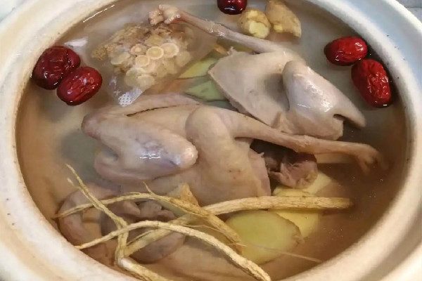 鴿子湯對傷口愈合有好處嗎 鴿子湯適合手術(shù)后的人喝嗎 鴿子湯對傷口愈合有好處嗎 鴿子湯適合手術(shù)后的人喝嗎