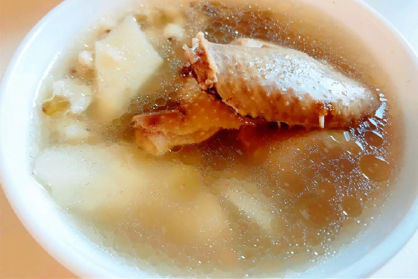 鴿子湯用公鴿子還是母鴿子 鴿子湯一只好還是兩只好 鴿子湯用公鴿子還是母鴿子 鴿子湯一只好還是兩只好