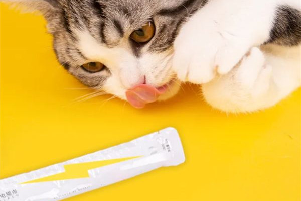 貓條哪個(gè)牌子質(zhì)量好性價(jià)比高 貓條買什么牌子好