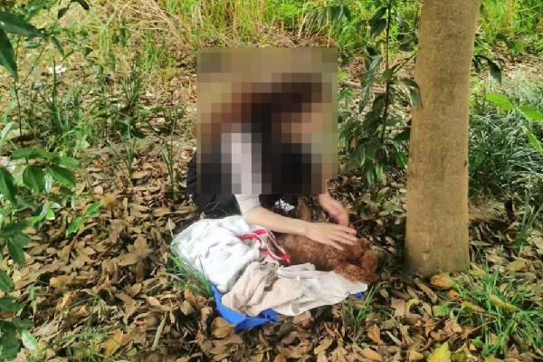 網(wǎng)曝成都多地出現(xiàn)“毒狗”事件 狗狗出門(mén)要帶什么東西 網(wǎng)曝成都多地出現(xiàn)“毒狗”事件 狗狗出門(mén)要帶什么東西