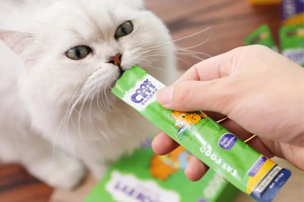 貓條哪個牌子質(zhì)量好性價比高 貓條買什么牌子好 貓條哪個牌子質(zhì)量好性價比高 貓條買什么牌子好