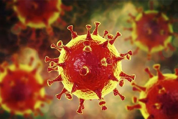 專家:國產(chǎn)新冠口服藥或再降價 新冠口服藥可以代替疫苗嗎 專家:國產(chǎn)新冠口服藥或再降價 新冠口服藥可以代替疫苗嗎