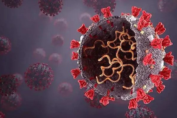 專家:國產(chǎn)新冠口服藥或再降價 新冠口服藥可以代替疫苗嗎 專家:國產(chǎn)新冠口服藥或再降價 新冠口服藥可以代替疫苗嗎