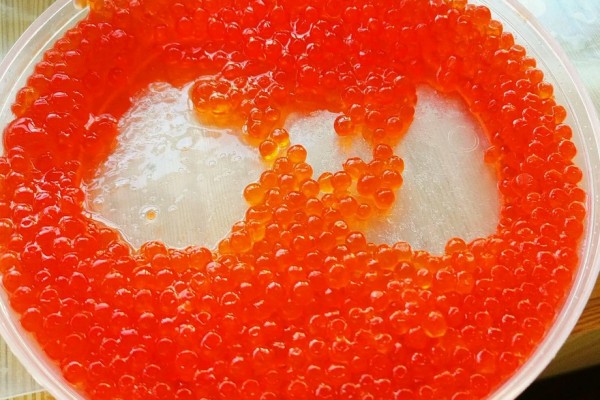 魚籽是魚的什么 魚籽是母魚才會(huì)有嗎 魚籽是魚的什么 魚籽是母魚才會(huì)有嗎