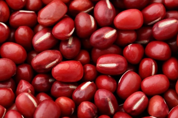 紅豆可以補氣血嗎 紅豆對身體的好處 紅豆可以補氣血嗎 紅豆對身體的好處