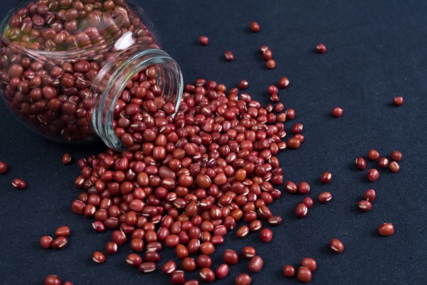 紅豆補血還是赤小豆補血 紅豆怎么吃補血效果最好 紅豆補血還是赤小豆補血 紅豆怎么吃補血效果最好