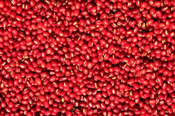 紅豆和什么搭配用效果更好 紅豆有大豆異黃酮嗎 紅豆和什么搭配用效果更好 紅豆有大豆異黃酮嗎