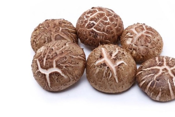 花菇產地哪里最好 花菇買干的好還是新鮮的好 花菇產地哪里最好 花菇買干的好還是新鮮的好