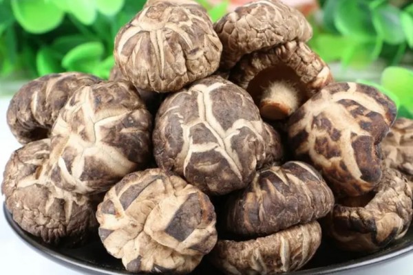 花菇產地哪里最好 花菇買干的好還是新鮮的好 花菇產地哪里最好 花菇買干的好還是新鮮的好