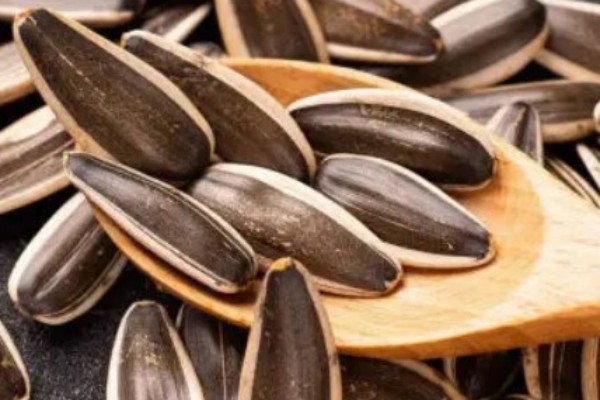 葵瓜子會(huì)致癌是真的嗎 葵瓜子對(duì)人體有害嗎 葵瓜子會(huì)致癌是真的嗎 葵瓜子對(duì)人體有害嗎