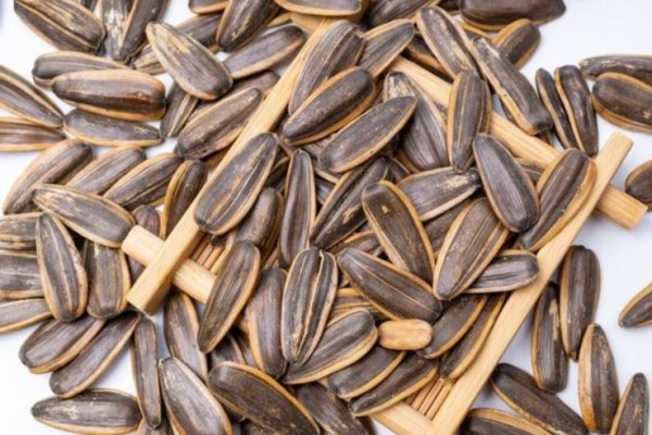 葵瓜子的營(yíng)養(yǎng)價(jià)值和功效 葵瓜子的熱量高嗎 葵瓜子的營(yíng)養(yǎng)價(jià)值和功效 葵瓜子的熱量高嗎