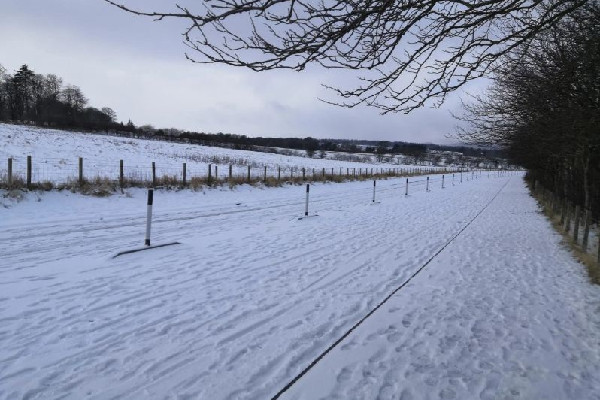 冷空氣發(fā)威上海已見初雪 下雪要注意什么 冷空氣發(fā)威上海已見初雪 下雪要注意什么
