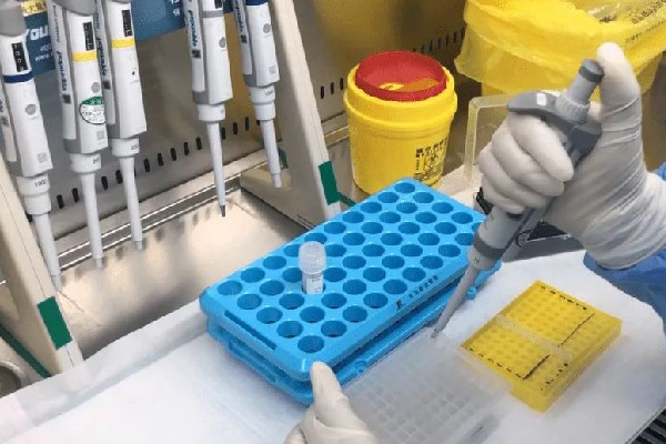 核酸機構(gòu)造假頻現(xiàn) 官方:嚴肅處置 專家:核酸檢測公司該不該上市 核酸機構(gòu)造假頻現(xiàn) 官方:嚴肅處置 專家:核酸檢測公司該不該上市