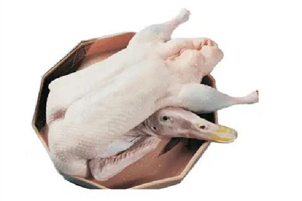 老人養(yǎng)的近4000只鴨子被投毒 鴨肉蛋白質(zhì)含量高嗎 老人養(yǎng)的近4000只鴨子被投毒 鴨肉蛋白質(zhì)含量高嗎