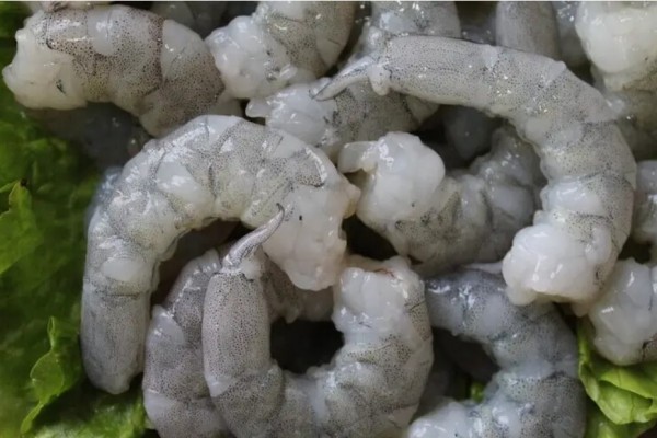 蝦仁會泡藥水嗎 蝦仁吃著脆脆的是新鮮的嗎 蝦仁會泡藥水嗎 蝦仁吃著脆脆的是新鮮的嗎