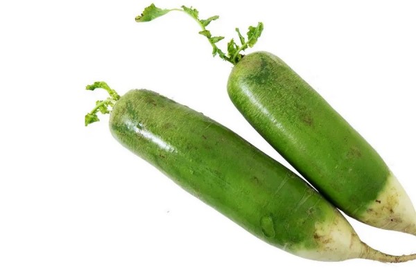 綠蘿卜的熱量 綠蘿卜可以減肥嗎 綠蘿卜的熱量 綠蘿卜可以減肥嗎