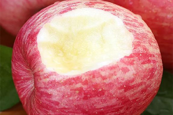 紅富士蘋果吃起來怎么樣 紅富士蘋果有什么營養(yǎng)價值 紅富士蘋果吃起來怎么樣 紅富士蘋果有什么營養(yǎng)價值