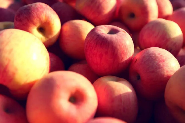 蘋果天天吃對身體好嗎 蘋果真的對皮膚好嗎 蘋果天天吃對身體好嗎 蘋果真的對皮膚好嗎