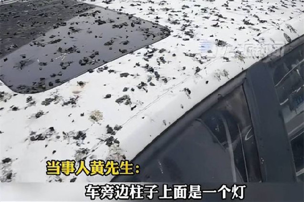 男子停車半小時車身獨得鳥屎全覆蓋 停車為什么要收費 男子停車半小時車身獨得鳥屎全覆蓋 停車為什么要收費