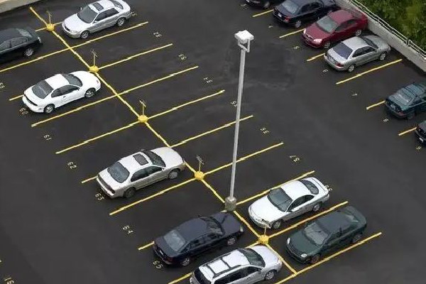 男子停車半小時車身獨得鳥屎全覆蓋 停車為什么要收費 男子停車半小時車身獨得鳥屎全覆蓋 停車為什么要收費