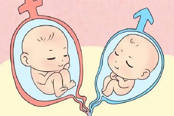 女子頭胎生龍鳳胎2胎又生雙胞胎 雙胞胎懷上的幾率大嗎 女子頭胎生龍鳳胎2胎又生雙胞胎 雙胞胎懷上的幾率大嗎