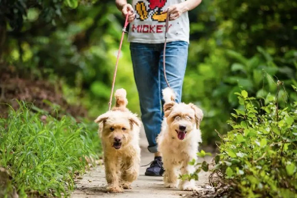 被問(wèn)防疫要求交警揮手:想去哪去哪 出行有什么講究嗎