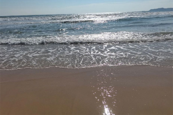 三亞18萬天價酒店一房難求 三亞有什么特產(chǎn)值得買回家 三亞18萬天價酒店一房難求 三亞有什么特產(chǎn)值得買回家