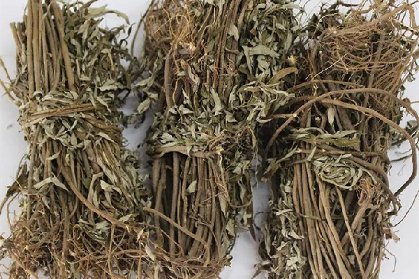 艾草多長(zhǎng)時(shí)間熏一次 艾草熏煙對(duì)人體有害嗎 艾草多長(zhǎng)時(shí)間熏一次 艾草熏煙對(duì)人體有害嗎