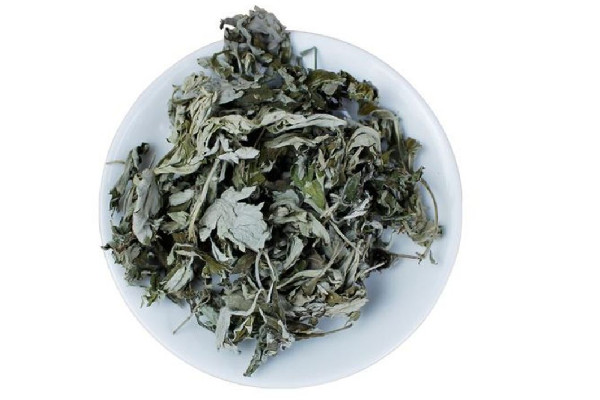 艾草可以洗臉治痘嗎 艾草洗臉的功效和作用 艾草可以洗臉治痘嗎 艾草洗臉的功效和作用