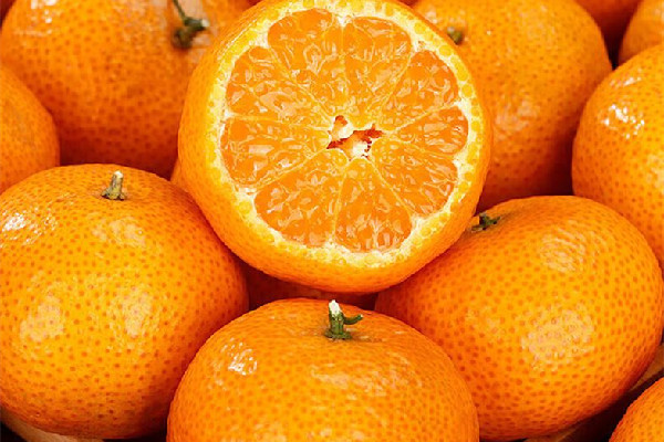 砂糖橘有籽好還是無籽好 砂糖橘有籽是正品嗎 砂糖橘有籽好還是無籽好 砂糖橘有籽是正品嗎