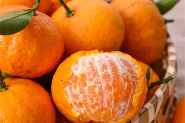 砂糖橘子含糖量高嗎 砂糖橘會升血糖嗎 砂糖橘子含糖量高嗎 砂糖橘會升血糖嗎