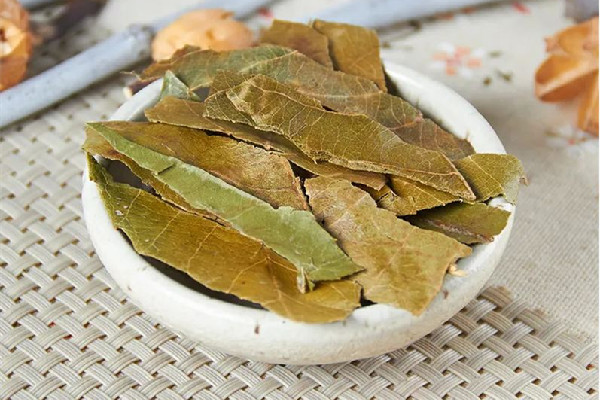 枇杷葉可以煮幾次水 枇杷葉放幾片煮水 枇杷葉可以煮幾次水 枇杷葉放幾片煮水