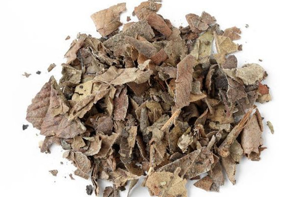 枇杷葉可以長期泡水喝嗎 枇杷葉泡水喝一天可以喝多少 枇杷葉可以長期泡水喝嗎 枇杷葉泡水喝一天可以喝多少