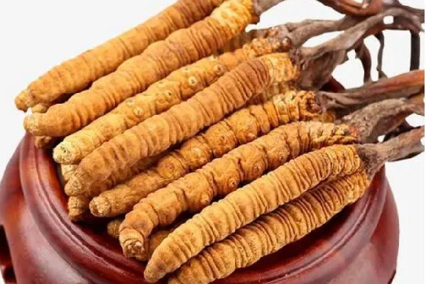 冬蟲夏草可以放多久 冬蟲夏草會(huì)發(fā)霉嗎 冬蟲夏草可以放多久 冬蟲夏草會(huì)發(fā)霉嗎