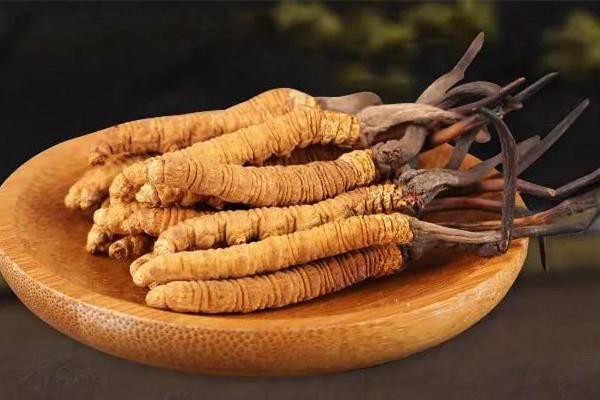 冬蟲夏草有養(yǎng)殖的嗎 冬蟲夏草人工和養(yǎng)殖的區(qū)別 冬蟲夏草有養(yǎng)殖的嗎 冬蟲夏草人工和養(yǎng)殖的區(qū)別