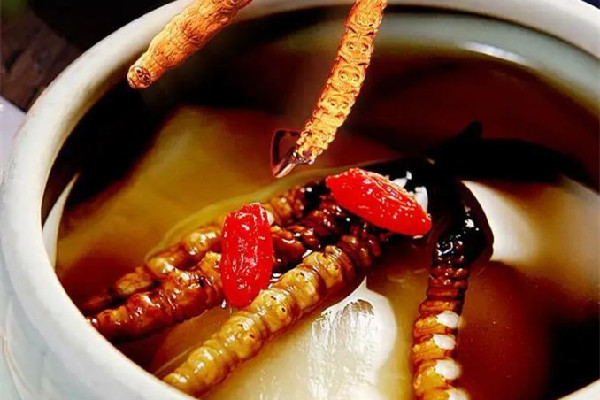 冬蟲(chóng)夏草可以泡酒嗎 冬蟲(chóng)夏草泡酒有什么作用和功效